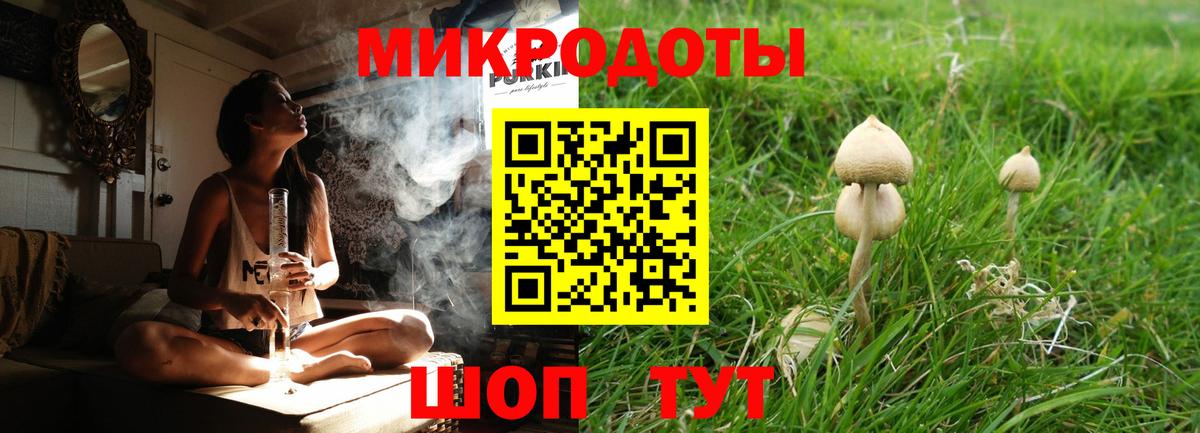 Псилоцибиновые грибы прущие грибы  где купить наркотик  Вход с VPN  Шахты  Галлюциногенные грибы прущие грибы 